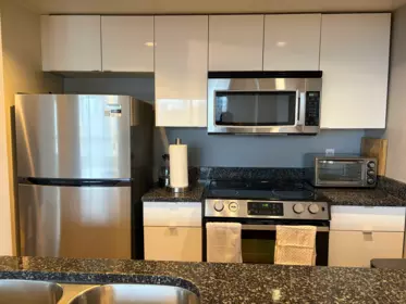 510 1060 Alberni Street, Vancouver, BC