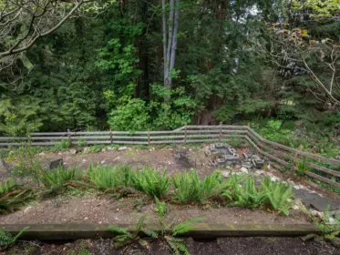 Garden / Landscaping Photo of 5836 Marine Way, Sechelt, BC