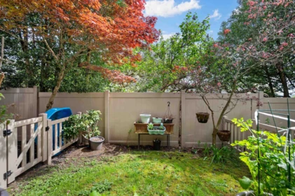 Backyard Photo of 67 20560 66 Avenue, Langley, BC