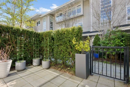 Backyard Photo of 2 265 E 8th Street, North Vancouver, BC
