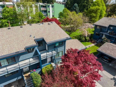 Outdoor Kitchen Photo of 3862 Pentland Court, Burnaby, BC
