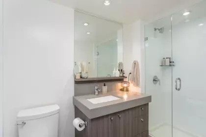Entry Foyer Photo of 307 231 E Pender Street, Vancouver, BC