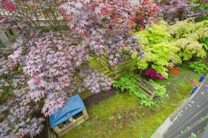 Loft / Bonus Room Photo of 62 8250 209b Street, Langley, BC
