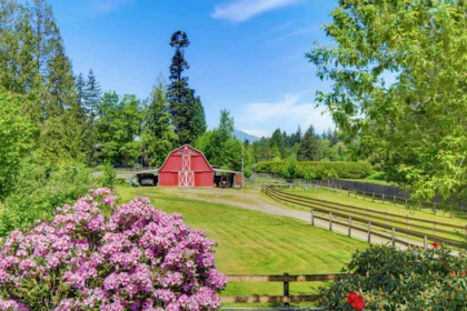 Outdoor Kitchen Photo of 24105 61 Avenue, Langley, BC
