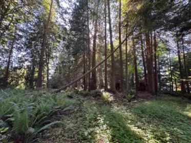 Mudroom Photo of Lot A Sechelt Inlet Road, Sechelt, BC