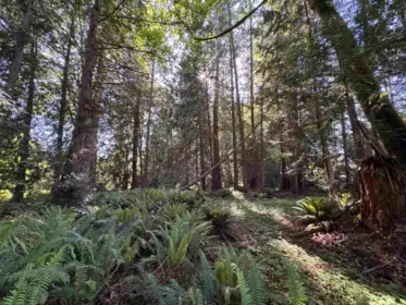 Office / Den Photo of Lot A Sechelt Inlet Road, Sechelt, BC