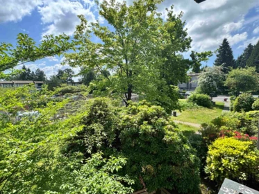 Aerial View of 10582 Holly Park Lane, Surrey, BC