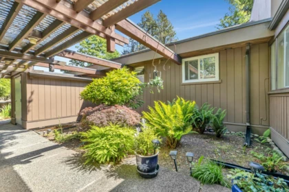 Aerial View of 14246 102 Avenue, Surrey, BC