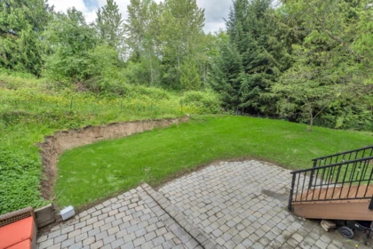 Aerial View of 9434 216a Street, Langley, BC