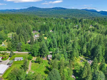 Family Room Photo of 27810 110 Avenue, Maple Ridge, BC