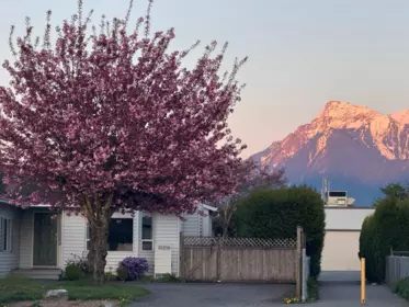 Street View Photo of 10206 Crystal Drive, Chilliwack, BC
