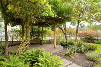 Outdoor Patio Photo of 408 225 Newport Drive, Port Moody, BC