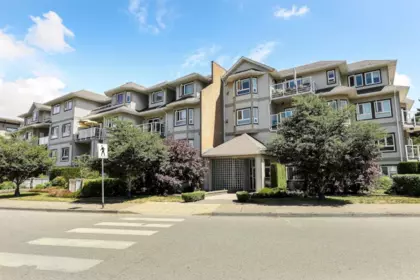 111 8142 120a Street, Surrey, BC, Surrey — Apartment/Condo for sale