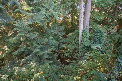 Street View Photo of 7707 Mcgregor Avenue, Burnaby, BC
