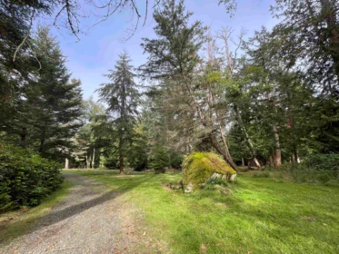 Family Room Photo of 608 Tumbo Channel Road, Saturna Island, BC