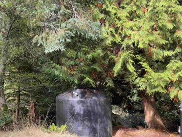 Pantry Photo of 608 Tumbo Channel Road, Saturna Island, BC