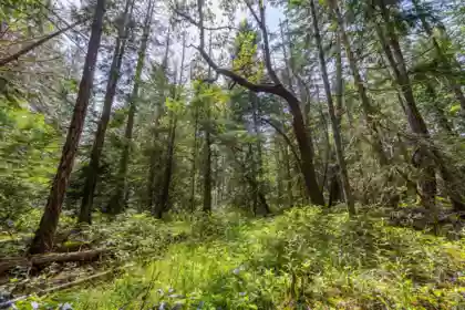 320 Orca View Lane, Galiano Island, BC, Galiano Island — Land for sale