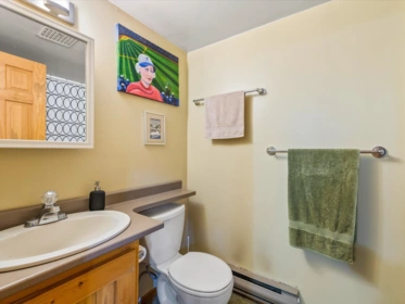 Basement Recreation Room Photo of 2317 Cheakamus Way, Whistler, BC