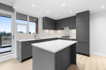 Kitchen Photo of 708 5380 Crooked Branch Road, Vancouver, BC
