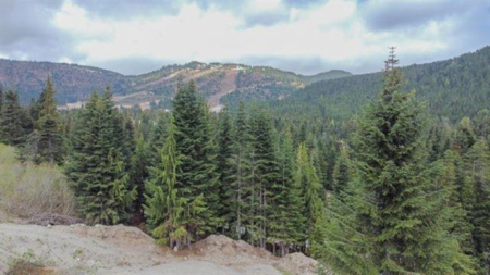 Pantry Photo of 20488 Edelweiss Drive, Mission, BC