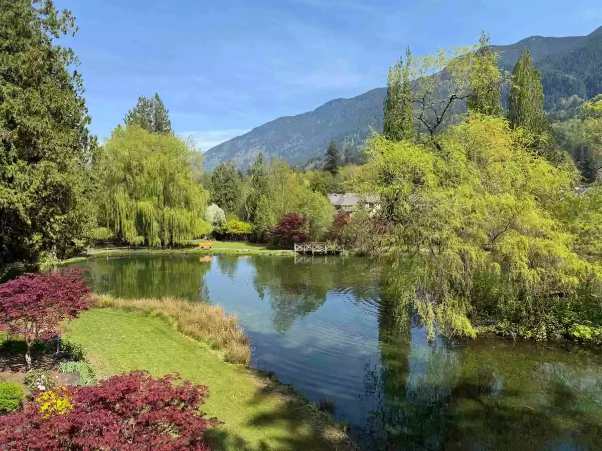 Outdoor Kitchen Photo of 43425 Blue Grouse Lane, Lindell Beach, BC