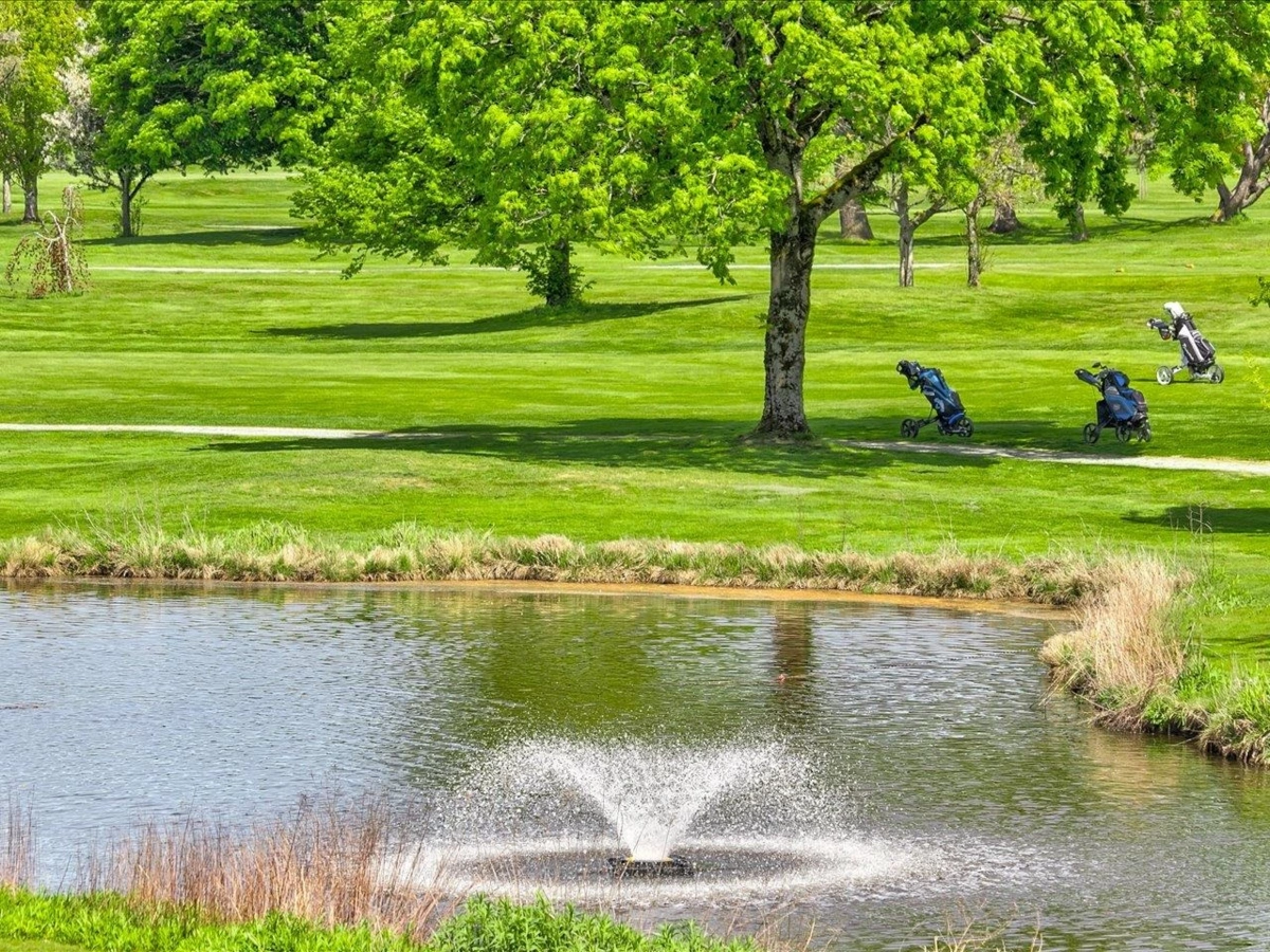 Backyard Photo of 7 14085 Nico Wynd Place, Surrey, BC