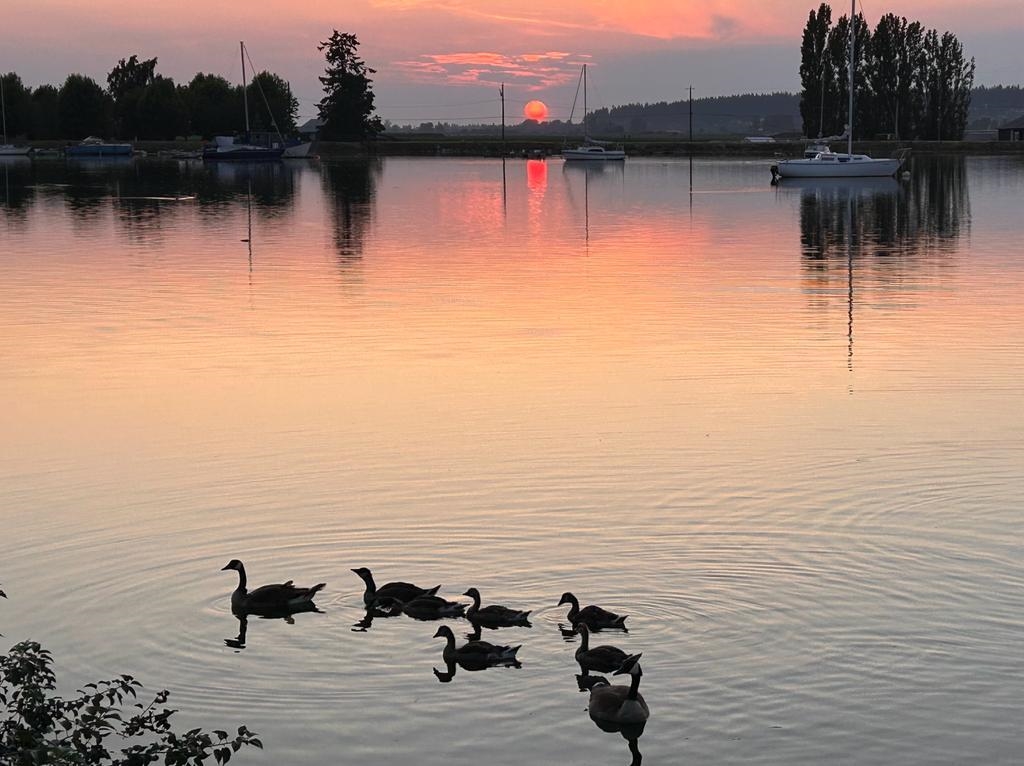 Community Amenities Photo (Clubhouse) of 7 14085 Nico Wynd Place, Surrey, BC