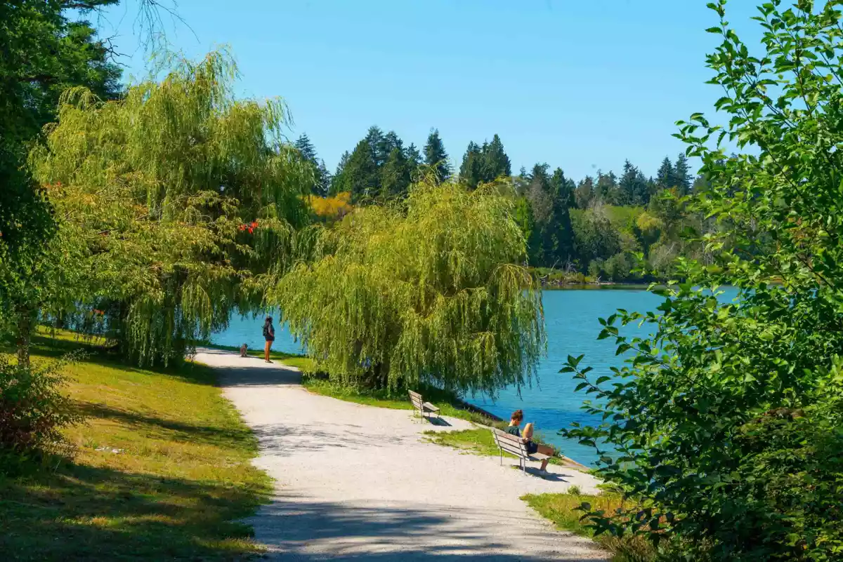 Swimming Pool Photo of 304 1720 Barclay Street, Vancouver, BC