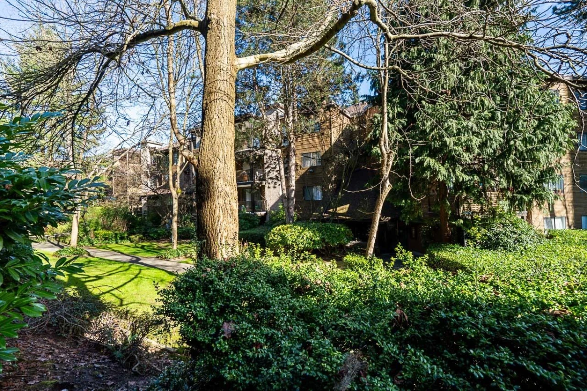 Backyard Photo of 106 10644 151a Street, Surrey, BC