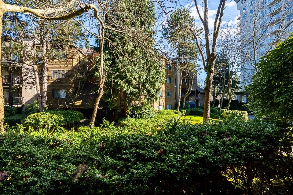 Front Yard Photo of 106 10644 151a Street, Surrey, BC