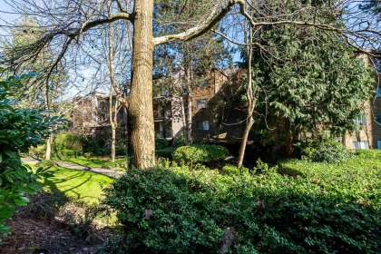 Backyard Photo of 106 10644 151a Street, Surrey, BC