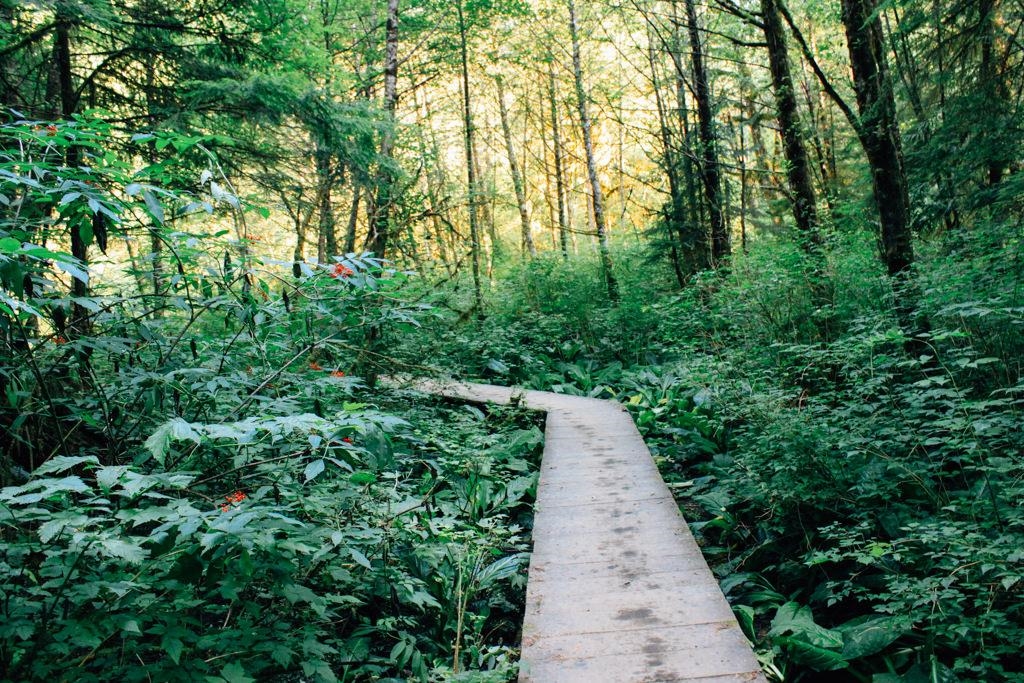 Front Yard Photo of 875 Porteau Place, North Vancouver, BC
