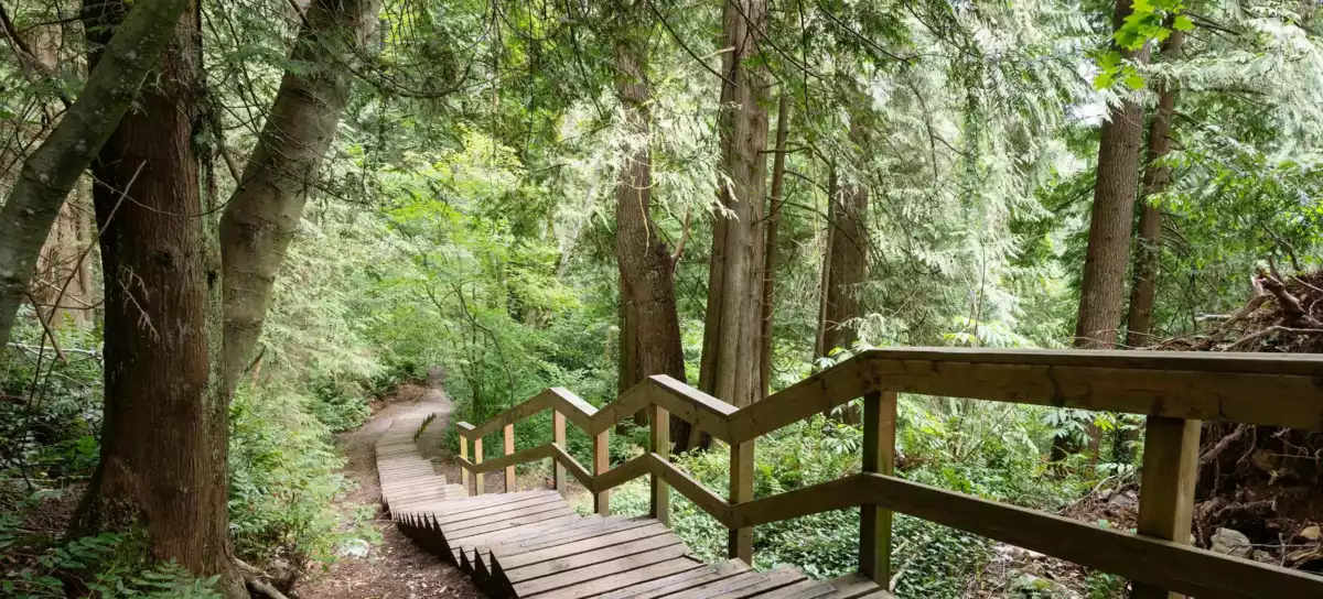 Outdoor Kitchen Photo of 875 Porteau Place, North Vancouver, BC