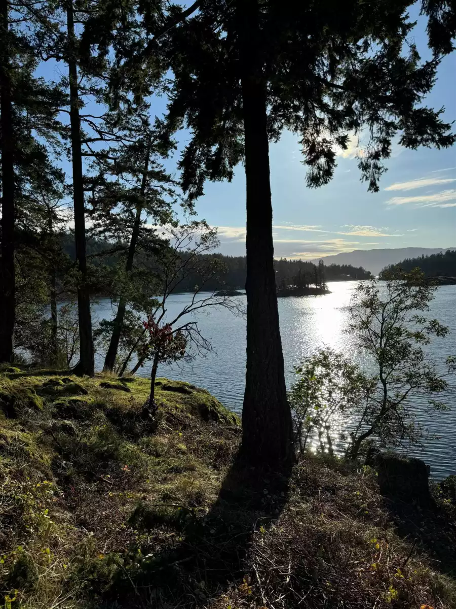 Exterior Rear Photo of LOT 10 Pinehaven Way, Pender Harbour, BC