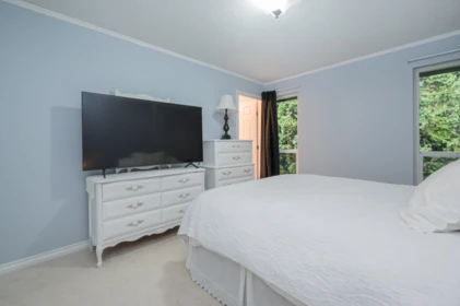 Basement Recreation Room Photo of 9276 Greer Street, Langley, BC