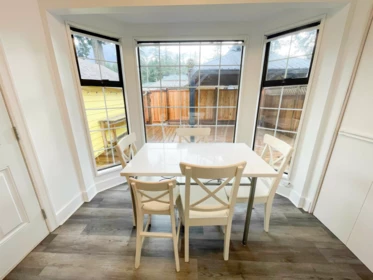 Basement Recreation Room Photo of 298 Hemlock Street, Cultus Lake, BC