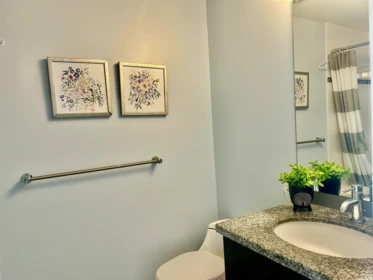Basement Recreation Room Photo of 1508 14 Begbie Street, New Westminster, BC