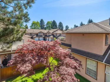Entry Foyer Photo of 221 14861 98 Avenue, Surrey, BC
