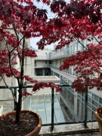 Backyard Photo of 311 1630 W 1st Avenue, Vancouver, BC