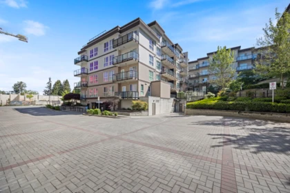 Backyard Photo of 13768 108 Avenue, Surrey, BC