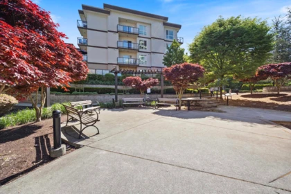 Outdoor Deck Photo of 13768 108 Avenue, Surrey, BC