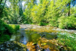 23942 Fern Crescent, Maple Ridge, BC