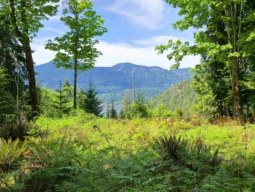 LOT I Cotton Bay Road, Gambier Island, BC, Gambier Island — Land for sale