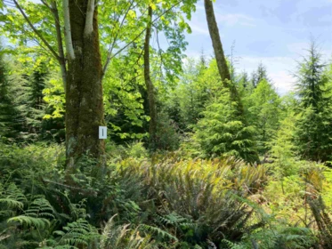 Office / Den Photo of LOT I Cotton Bay Road, Gambier Island, BC