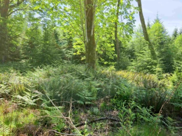 Powder Room Photo of LOT I Cotton Bay Road, Gambier Island, BC