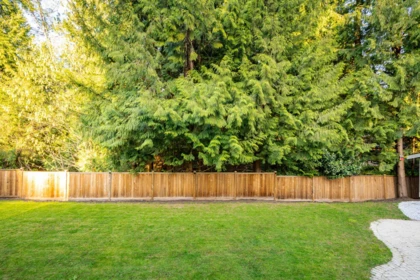 Front Yard Photo of 4224 196b Street, Langley, BC