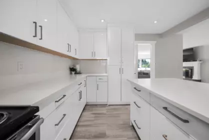 Pantry Photo of 32133 Cottonwood Terrace, Mission, BC