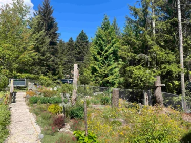 Primary Bedroom Photo of 9291 Emerald Drive, Whistler, BC