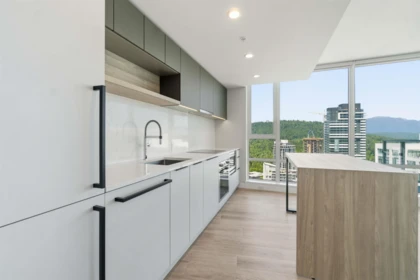 Pantry Photo of 3006 567 Emerson Street, Coquitlam, BC