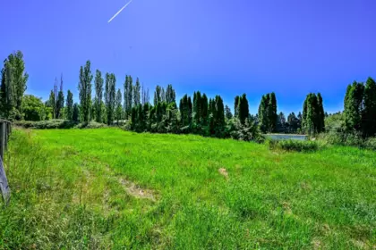 Pantry Photo of 5950 Bradner Road, Abbotsford, BC